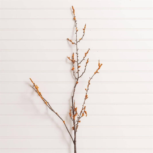 Orange Berries Stem