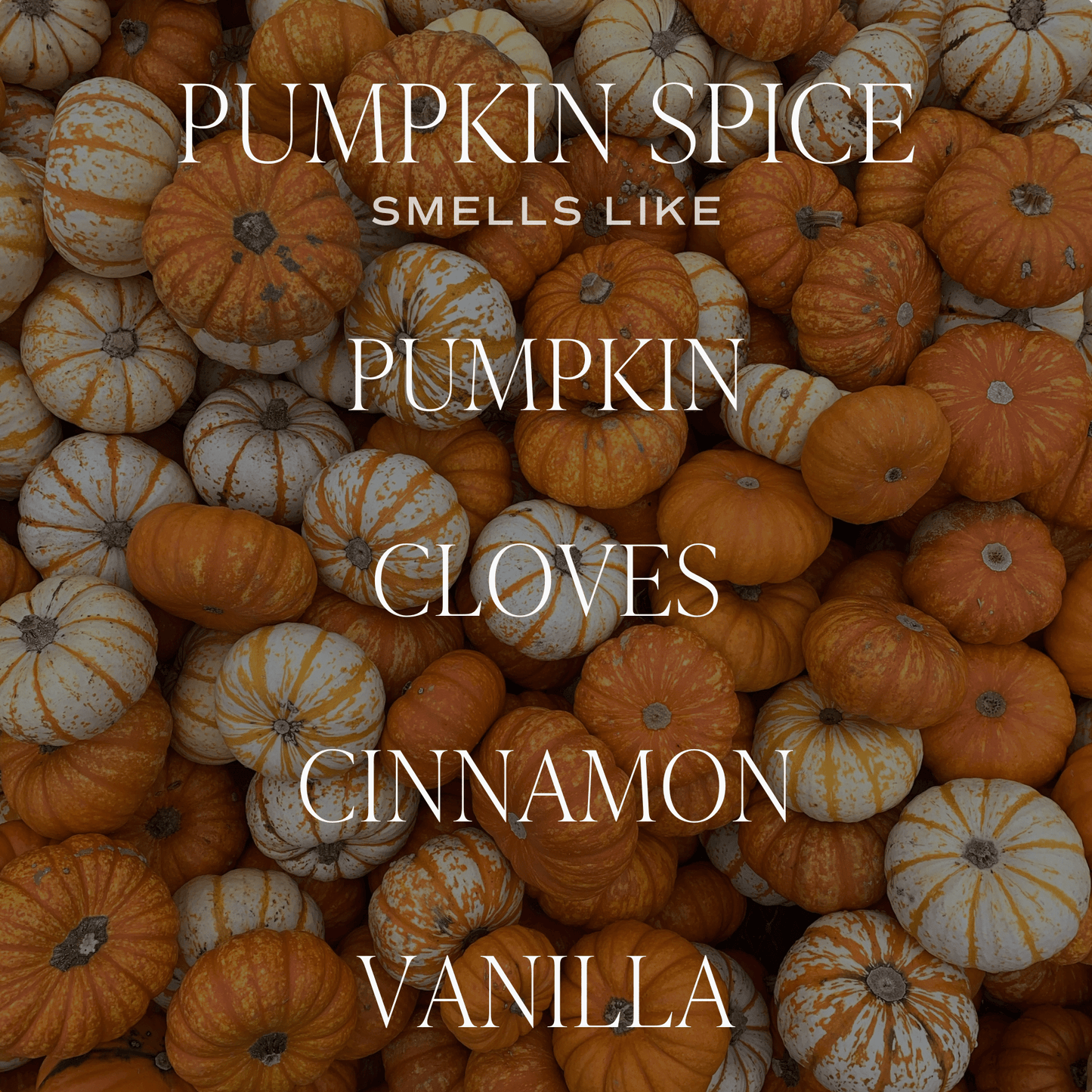Pumpkin Spice Candle 9oz