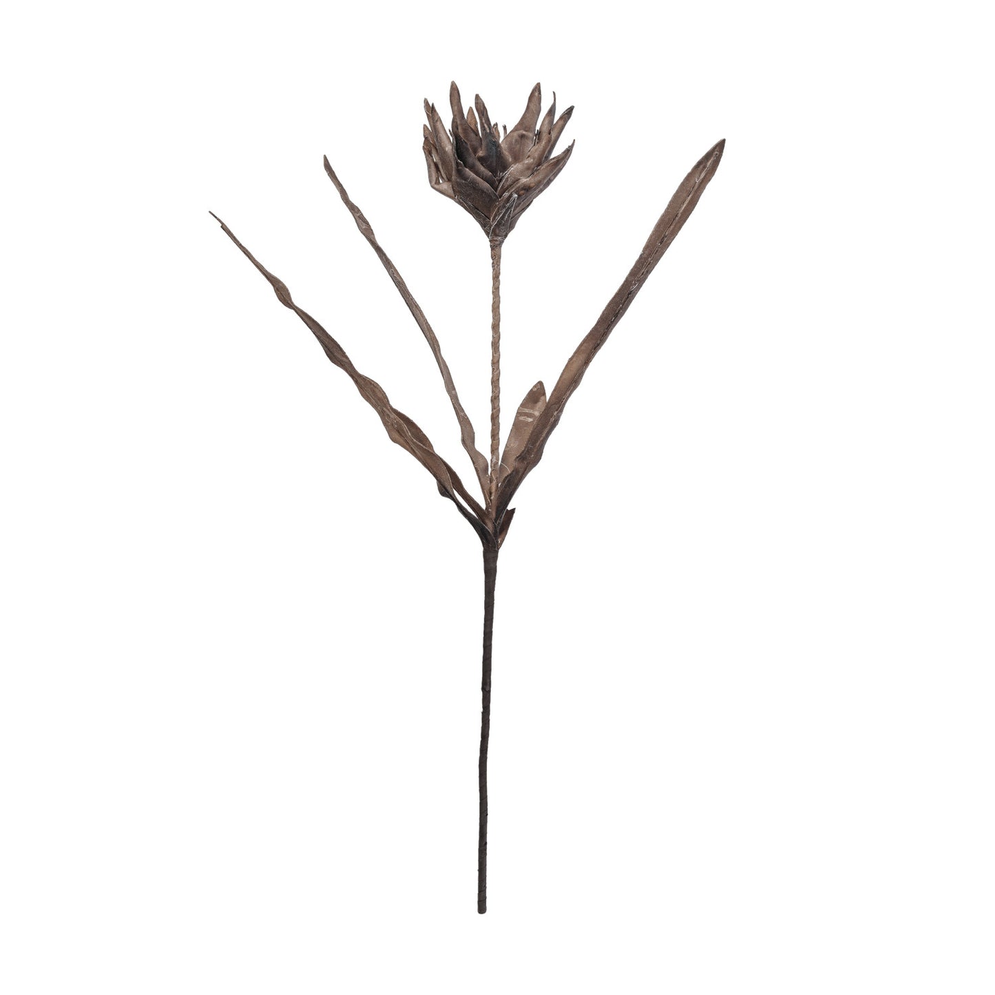 39-1/4"H Faux Flower Pick, Brown
