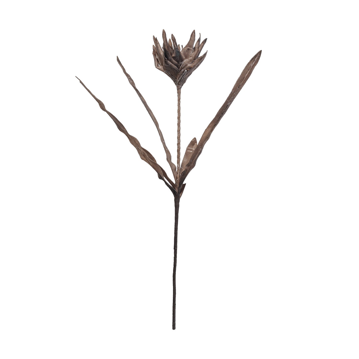 39-1/4"H Faux Flower Pick, Brown
