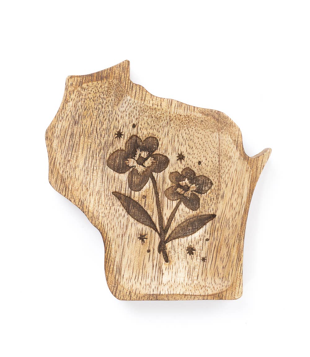 Wisconsin State Tray