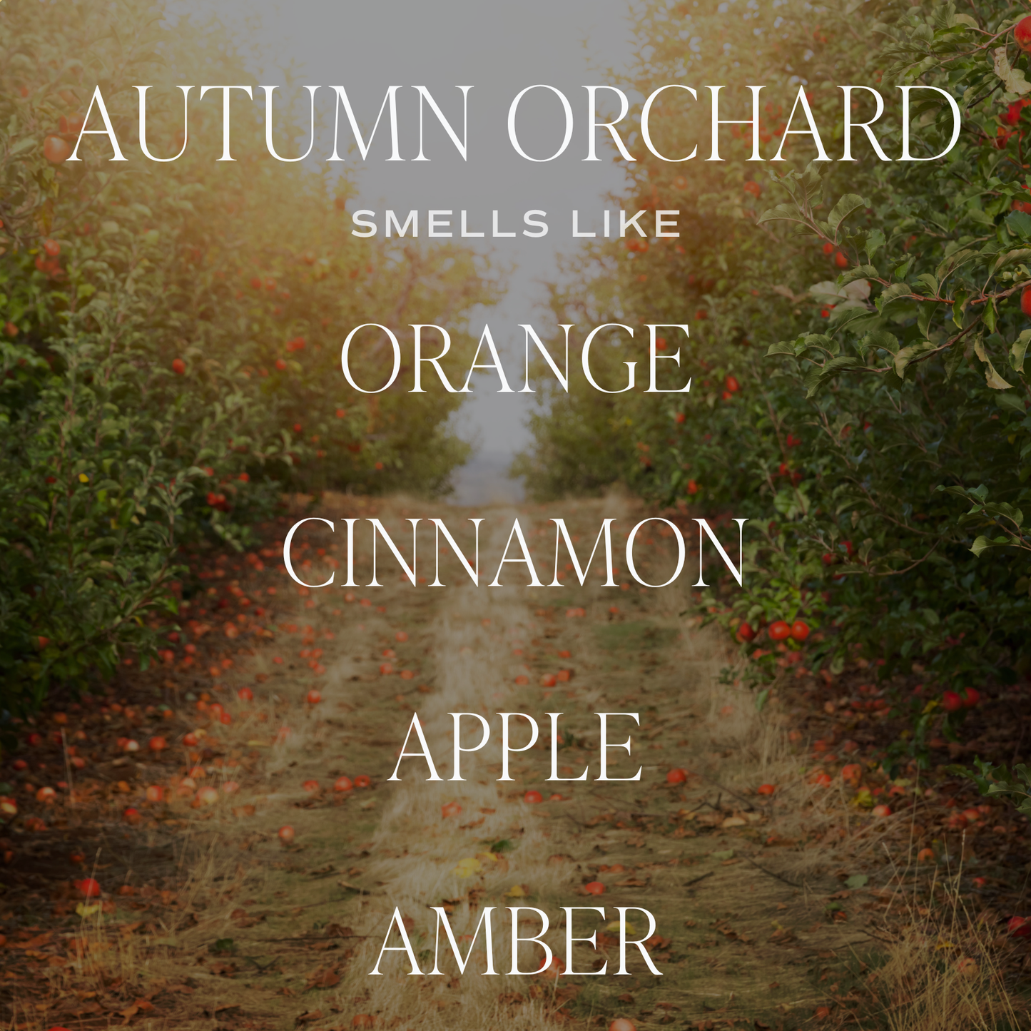 Autumn Orchard Soy Candle