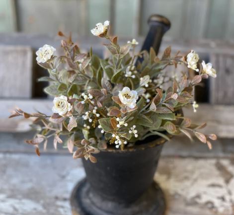 Ivory Autumn Stem
