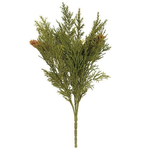 Alpine Cedar Pick 2