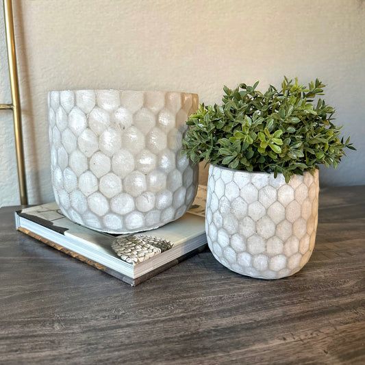 Cement Honeycomb Planter