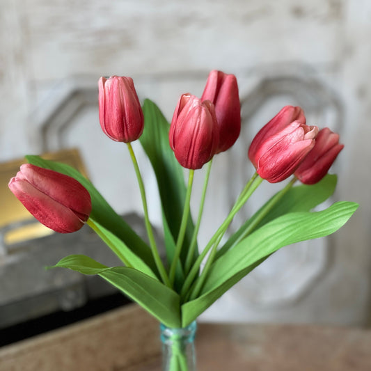 Tulip Bunch - Carmine
