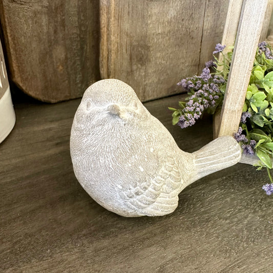 Spring Bird