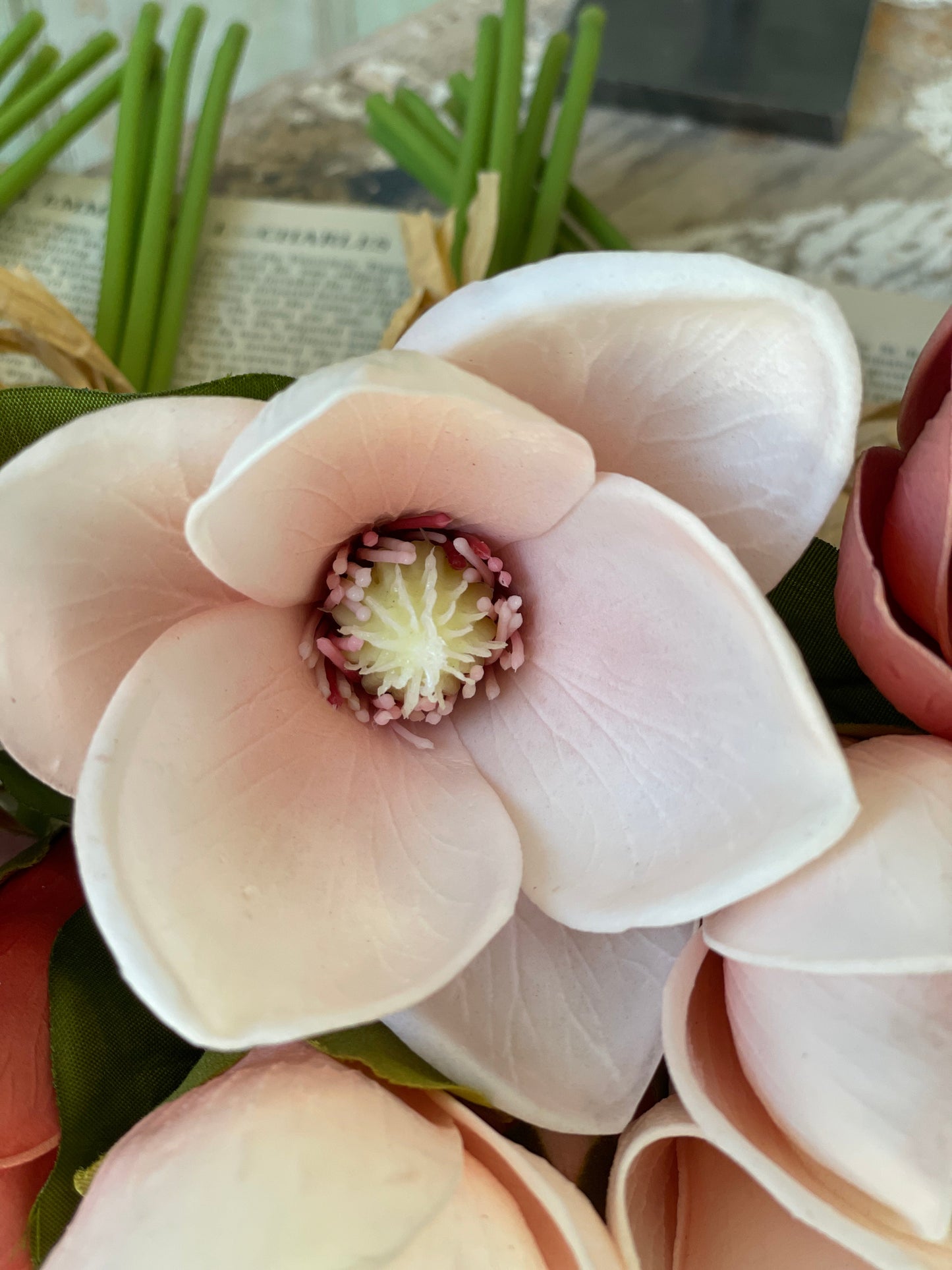 Magnolia Bundle - Blush